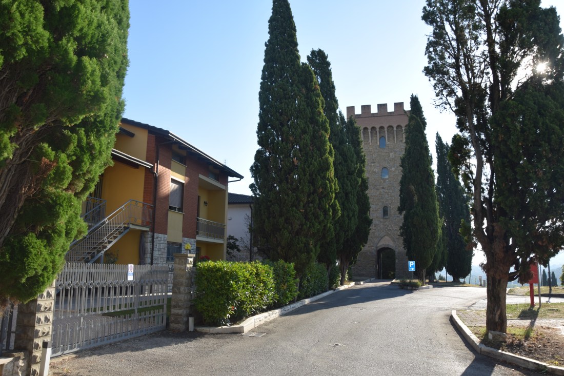 Torgiano 022