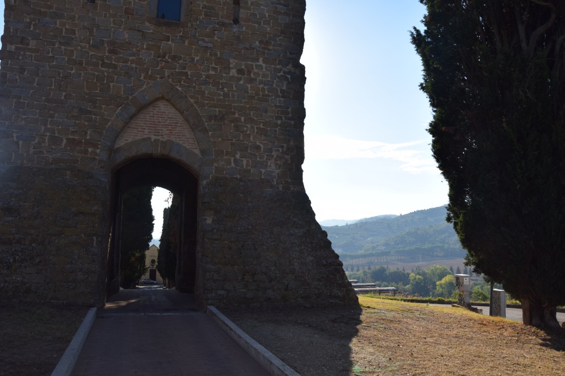 Torgiano 024